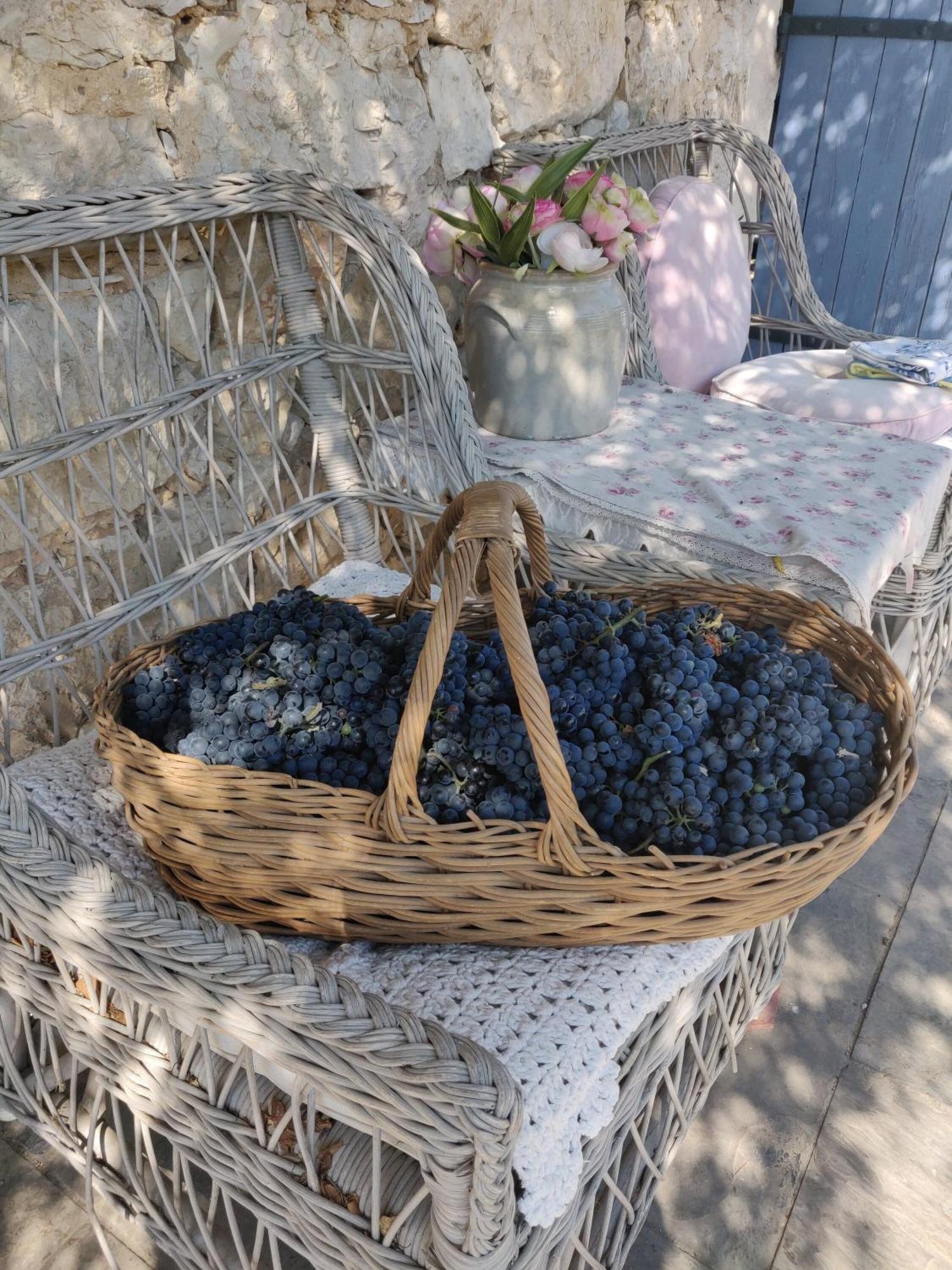Appartamento Saint Pierre Roquefort-les-Pins